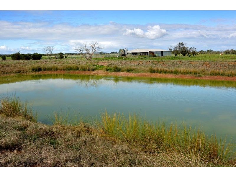 139 Skippings Road, North Boyanup WA 6237