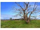 139 Skippings Road, North Boyanup WA 6237