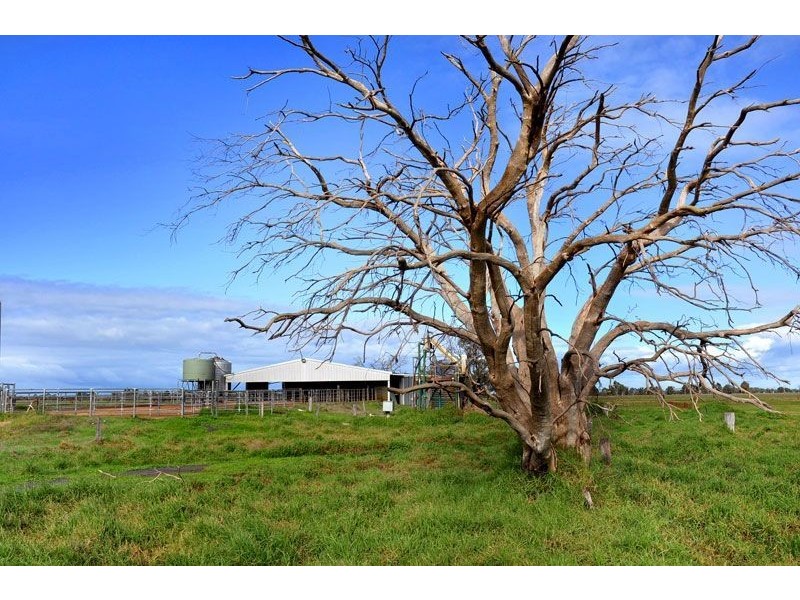 139 Skippings Road, North Boyanup WA 6237