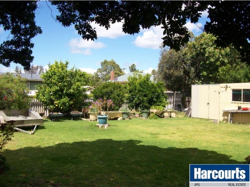 53 Hands Avenue, Carey Park WA 6230