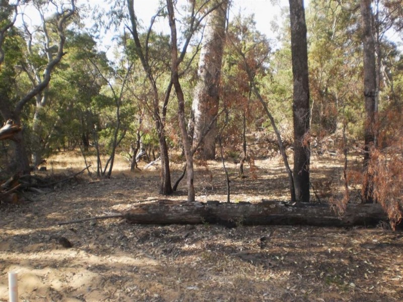 86 Stafford Drive, Stratham WA 6237