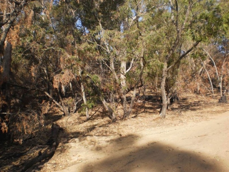 86 Stafford Drive, Stratham WA 6237