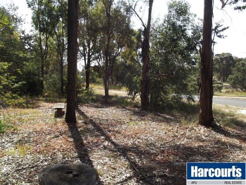 21 Bevan Way, Collie WA 6225