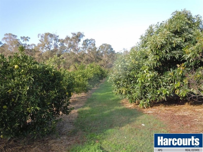 67 Shenton Road, Boyanup WA 6237