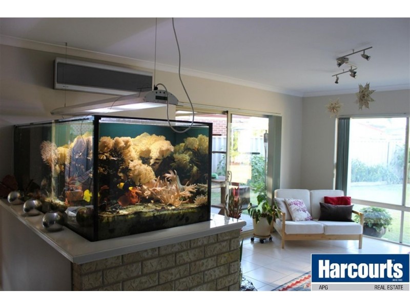 3 Tulip Grove, Eaton WA 6232