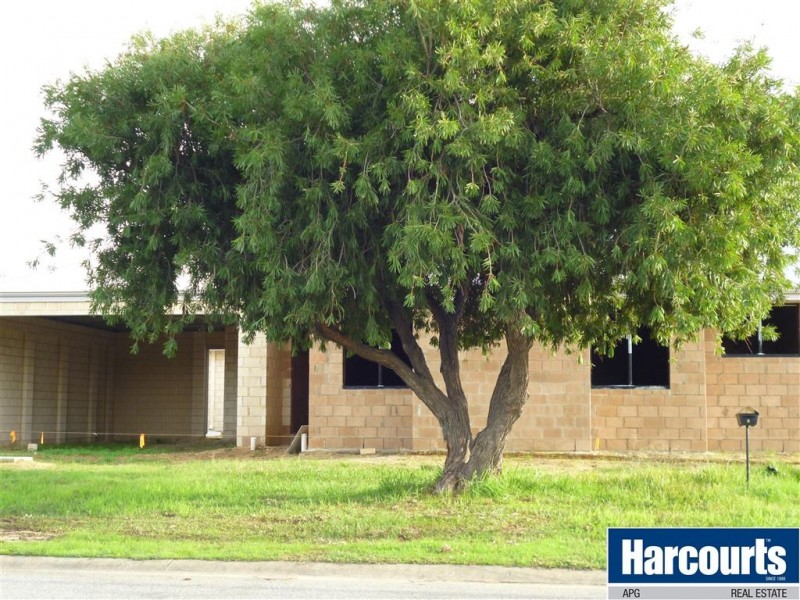 2/6 Cantwell Court, East Bunbury WA 6230