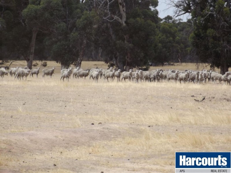 9980 Willams Location, Darkan WA 6392