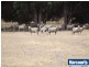 9980 Willams Location, Darkan WA 6392