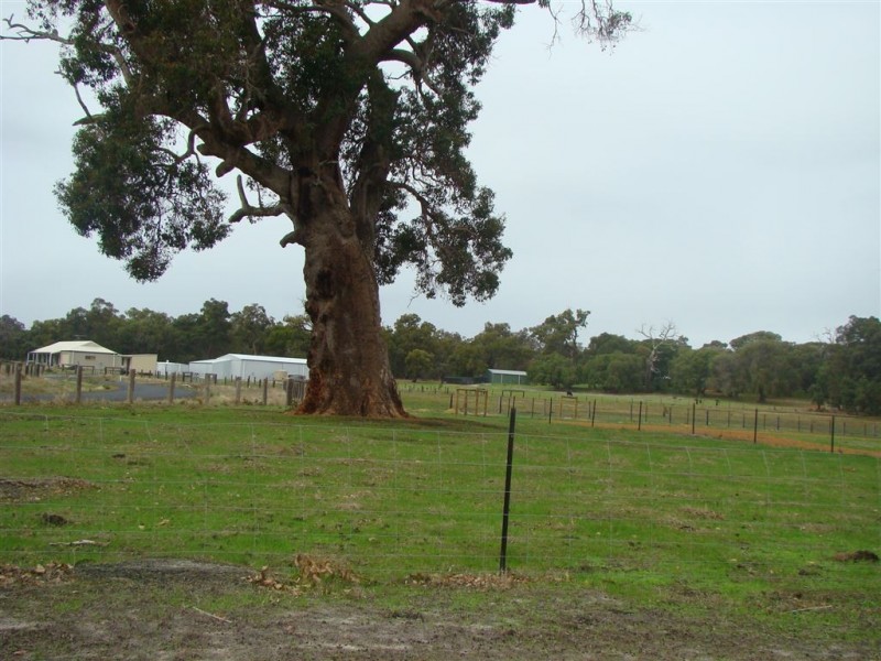 8 Holland Loop, Dardanup West WA 6236