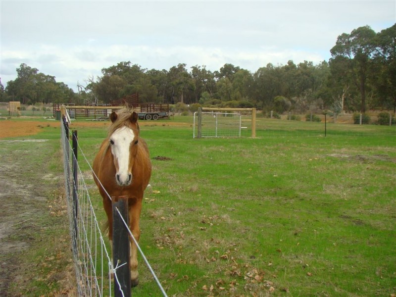 8 Holland Loop, Dardanup West WA 6236