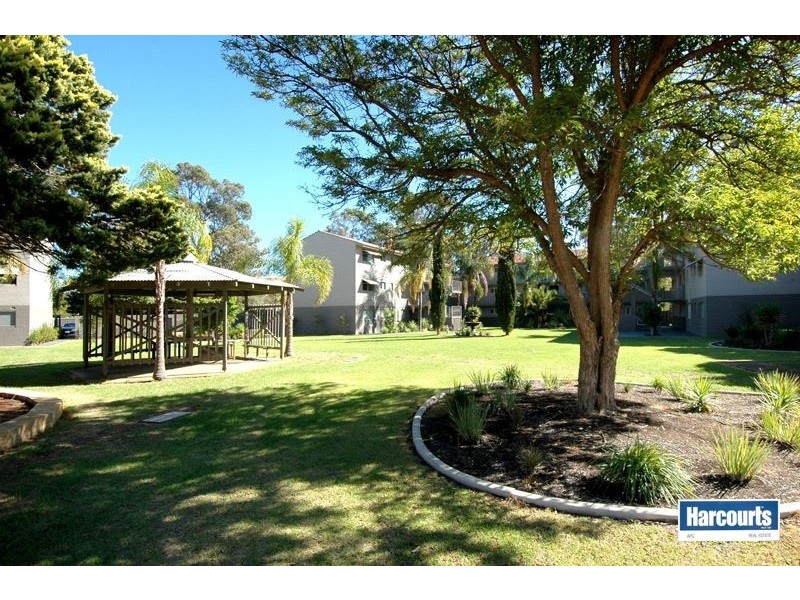 48/1 Stallard Place, Withers WA 6230