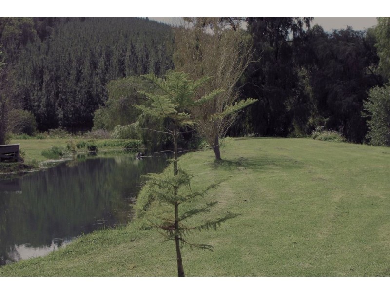 527 Wellington Mill Road, Wellington Mill WA 6236