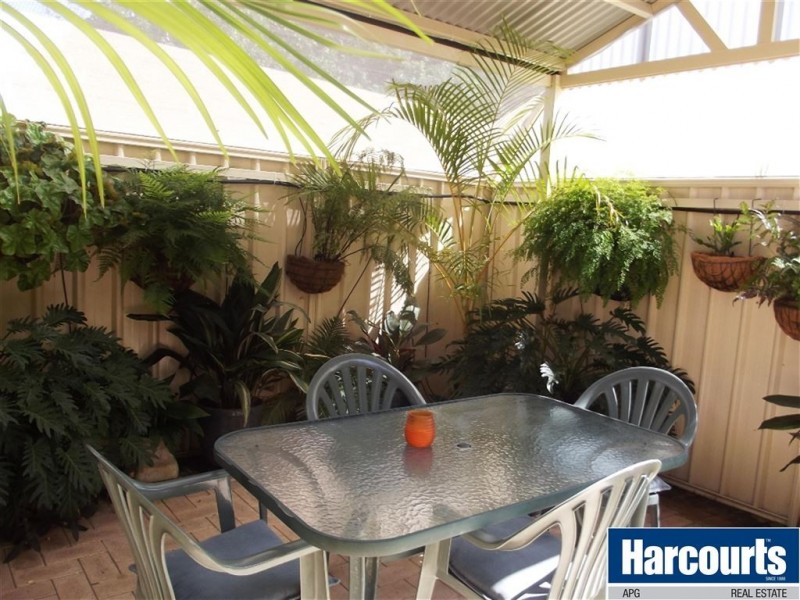 19C Lowe Street, Carey Park WA 6230