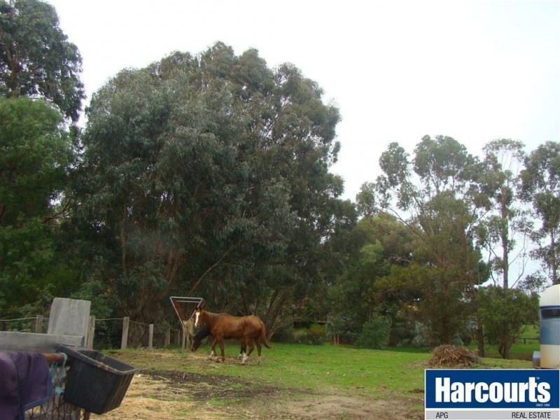 14 George Street, Boyanup WA 6237