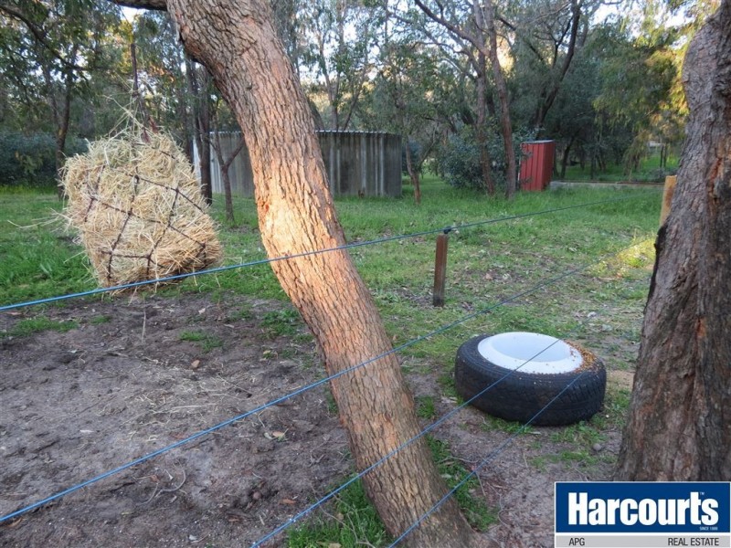 19 Manea Drive, Gelorup WA 6230