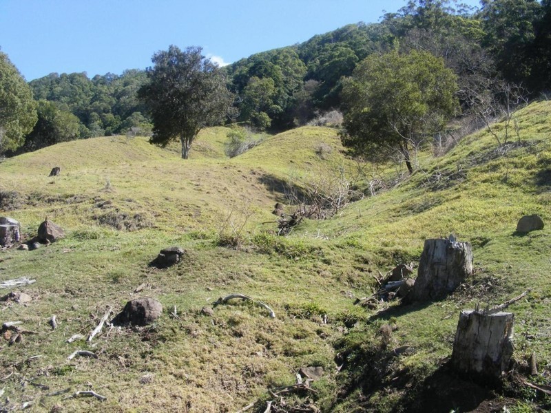 Hunchy QLD 4555