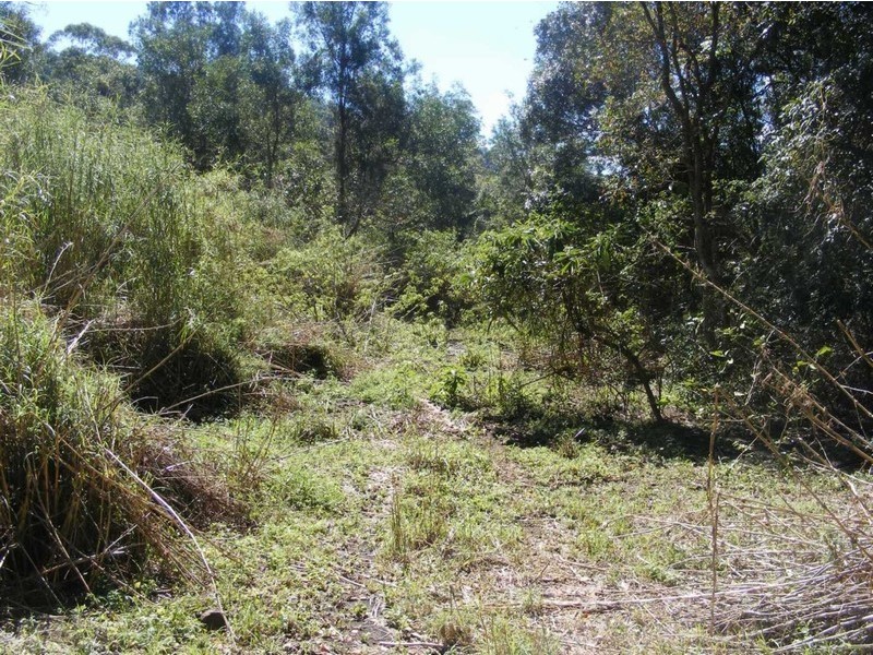 77 BARSONS ROAD, Montville QLD 4560