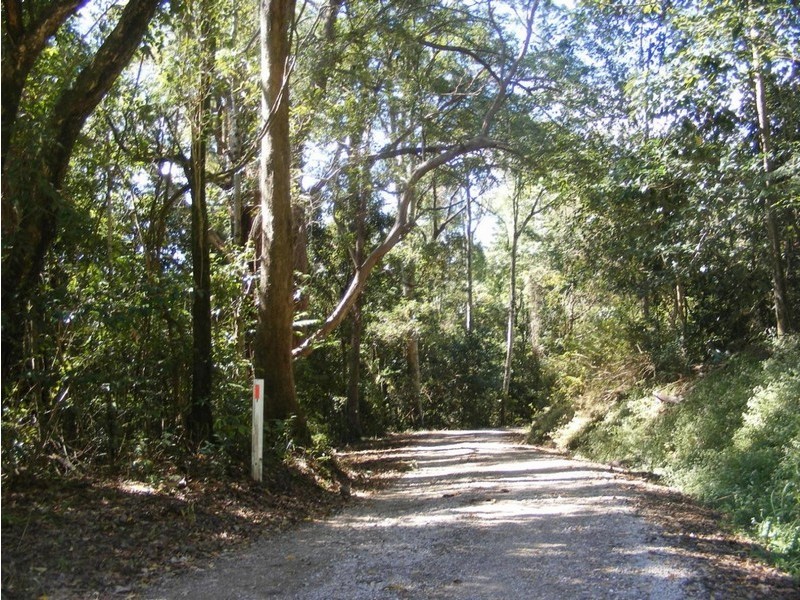 77 BARSONS ROAD, Montville QLD 4560