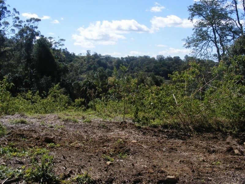 77 BARSONS ROAD, Montville QLD 4560