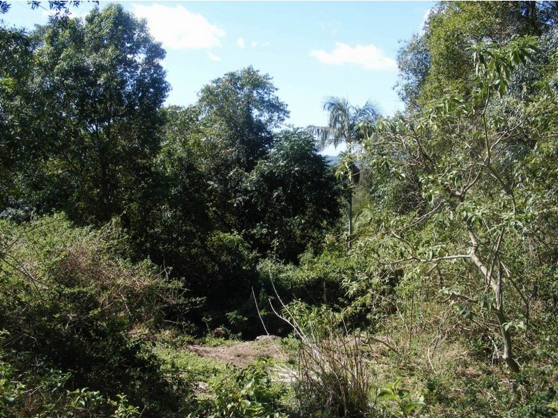 77 BARSONS ROAD, Montville QLD 4560