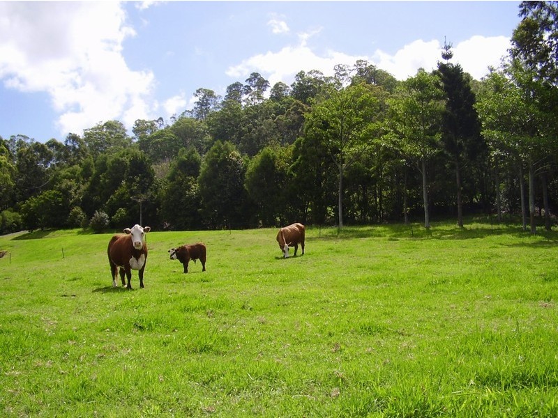 223 Hovard Road, Maleny QLD 4552