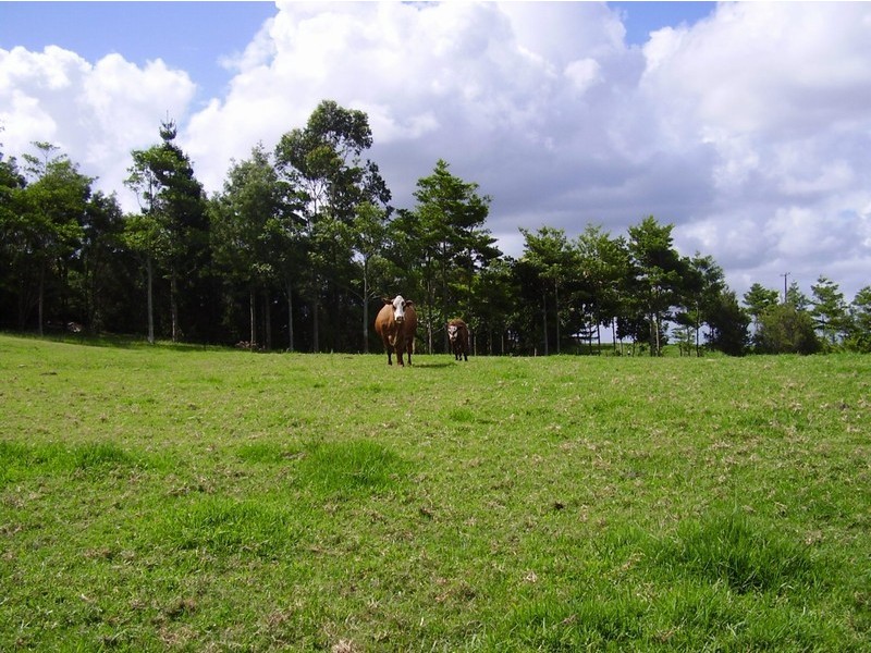 223 Hovard Road, Maleny QLD 4552