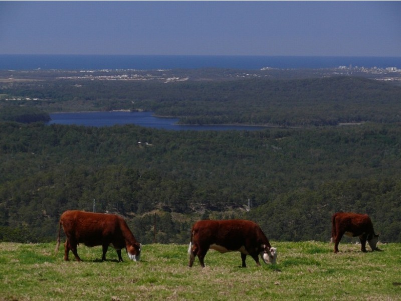 223 Hovard Road, Maleny QLD 4552