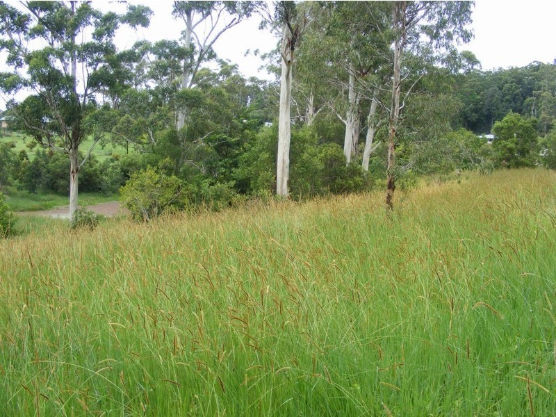 RP 906113  LOT 0438646294 Amelia Place, Kureelpa QLD 4560