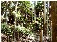 Flaxton QLD 4560