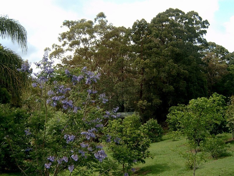 Flaxton QLD 4560