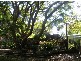 Maleny QLD 4552