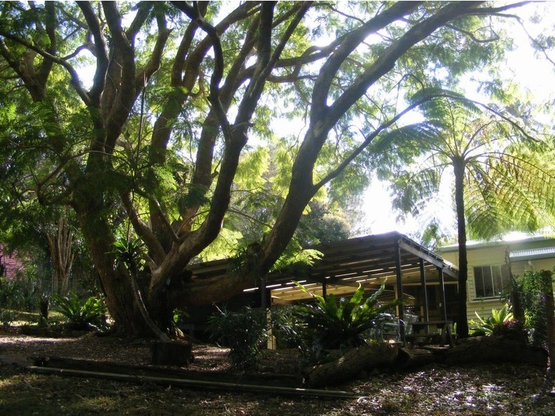 Maleny QLD 4552