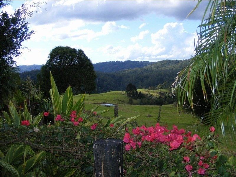 Maleny QLD 4552