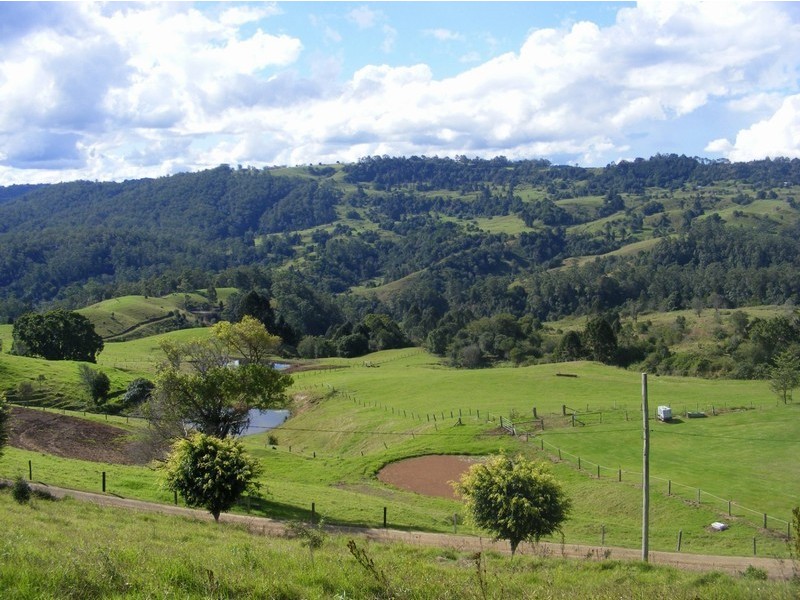 Maleny QLD 4552