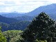 Maleny QLD 4552