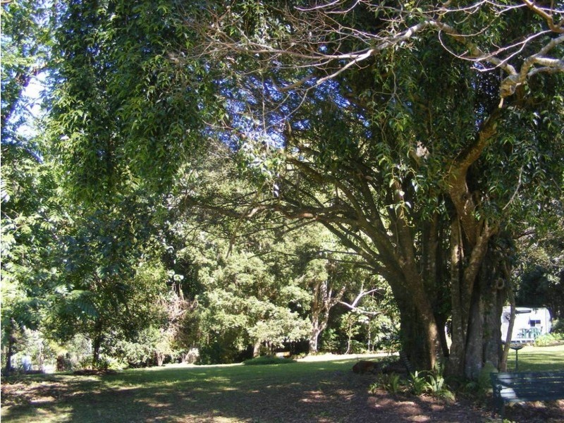 6 Mary Cairncross Avenue, Maleny QLD 4552