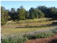 14a Warruga Street, Mapleton QLD 4560