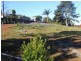 14a Warruga Street, Mapleton QLD 4560
