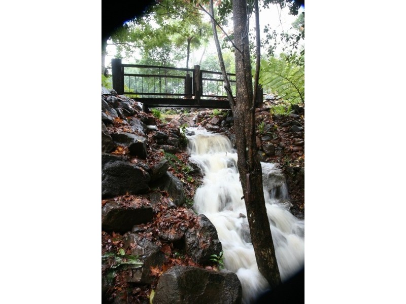 20 Palm Street, Maleny QLD 4552