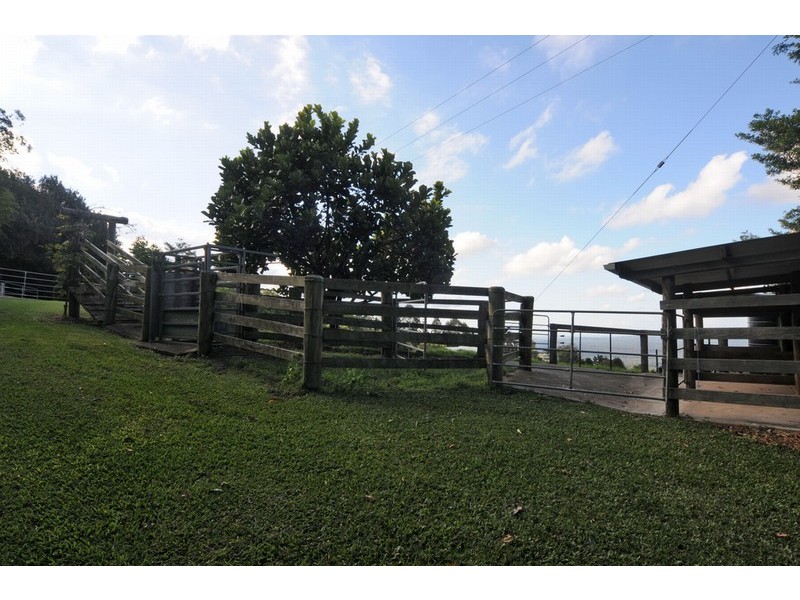 Maleny QLD 4552