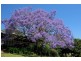 Montville QLD 4560