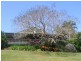 Montville QLD 4560