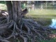 Montville QLD 4560