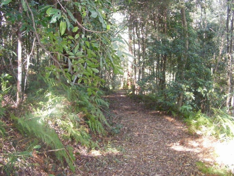 428 Western Avenue, Montville QLD 4560