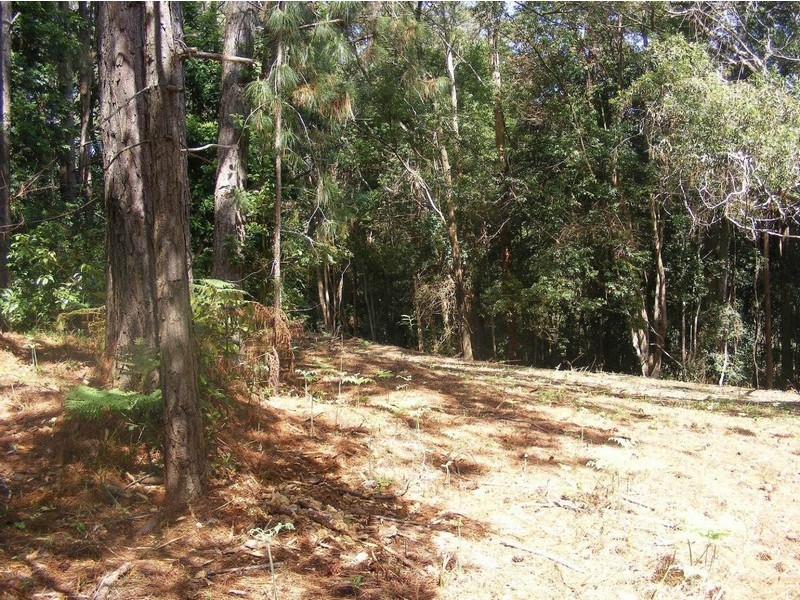 428 Western Avenue, Montville QLD 4560