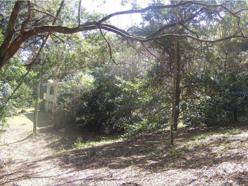 428 Western Avenue, Montville QLD 4560