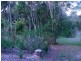 Montville QLD 4560