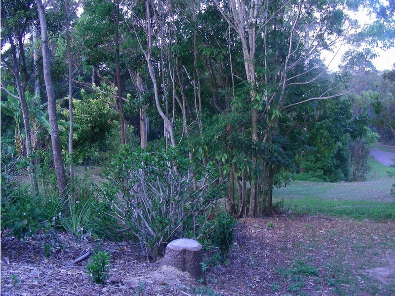 Montville QLD 4560