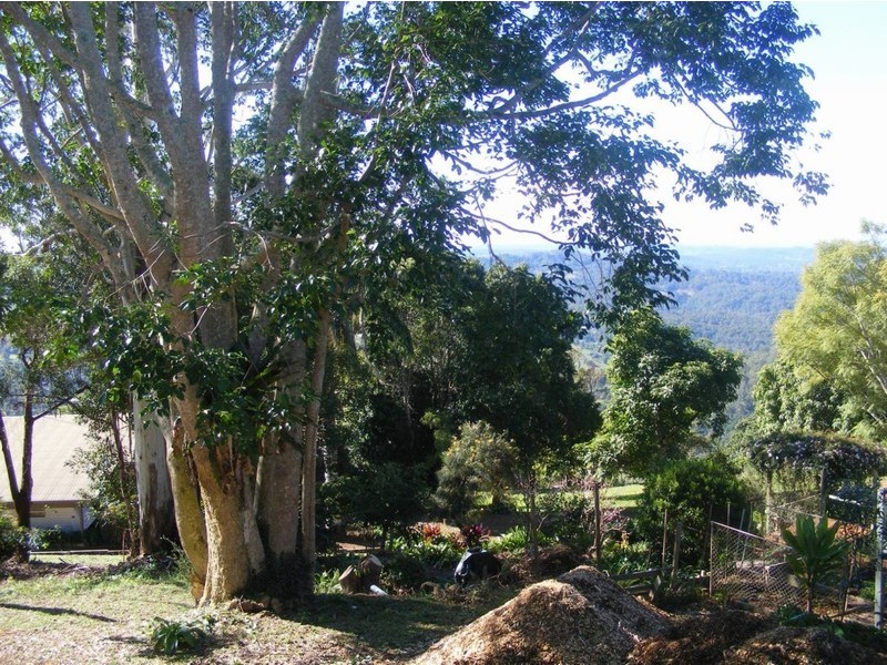 47 Main Street, Montville QLD 4560