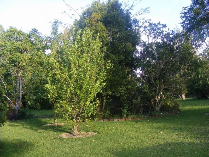 5 Glover Court, Montville QLD 4560